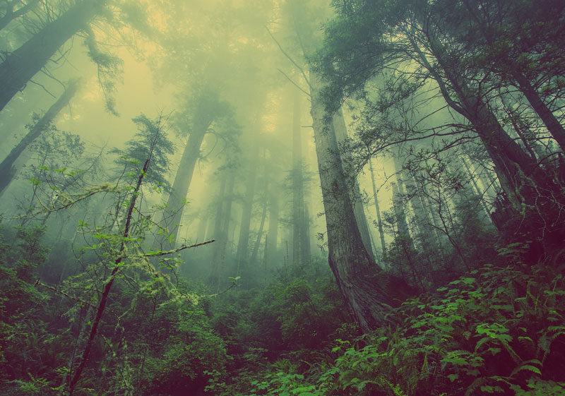 Lavantia Nature con el medio ambiente