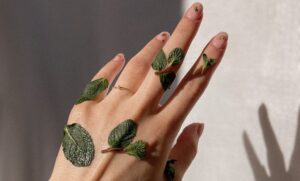Reconocer productos de limpieza ecológicos es el principio del camino hacia un futuro más sostenible para todos.