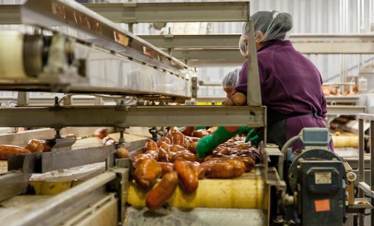 Limpiar y desinfectar en una industria son procesos críticos