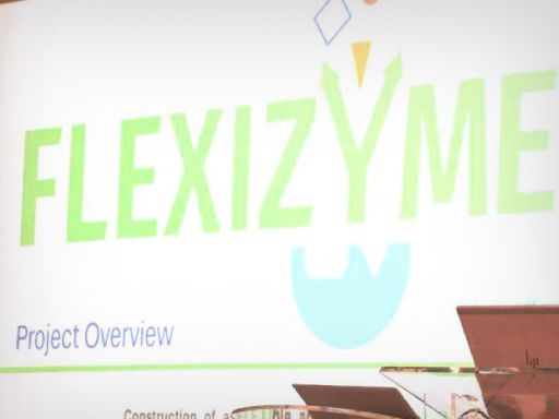 flexizyme